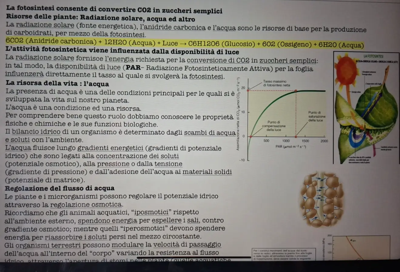 Anteprima degli appunti di Ecologia