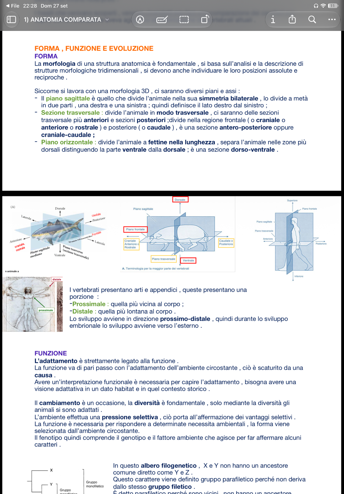 Anteprima degli appunti di Anatomia Comparata