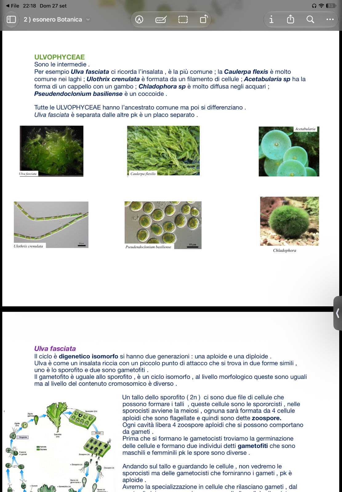 Anteprima degli appunti di Botanica