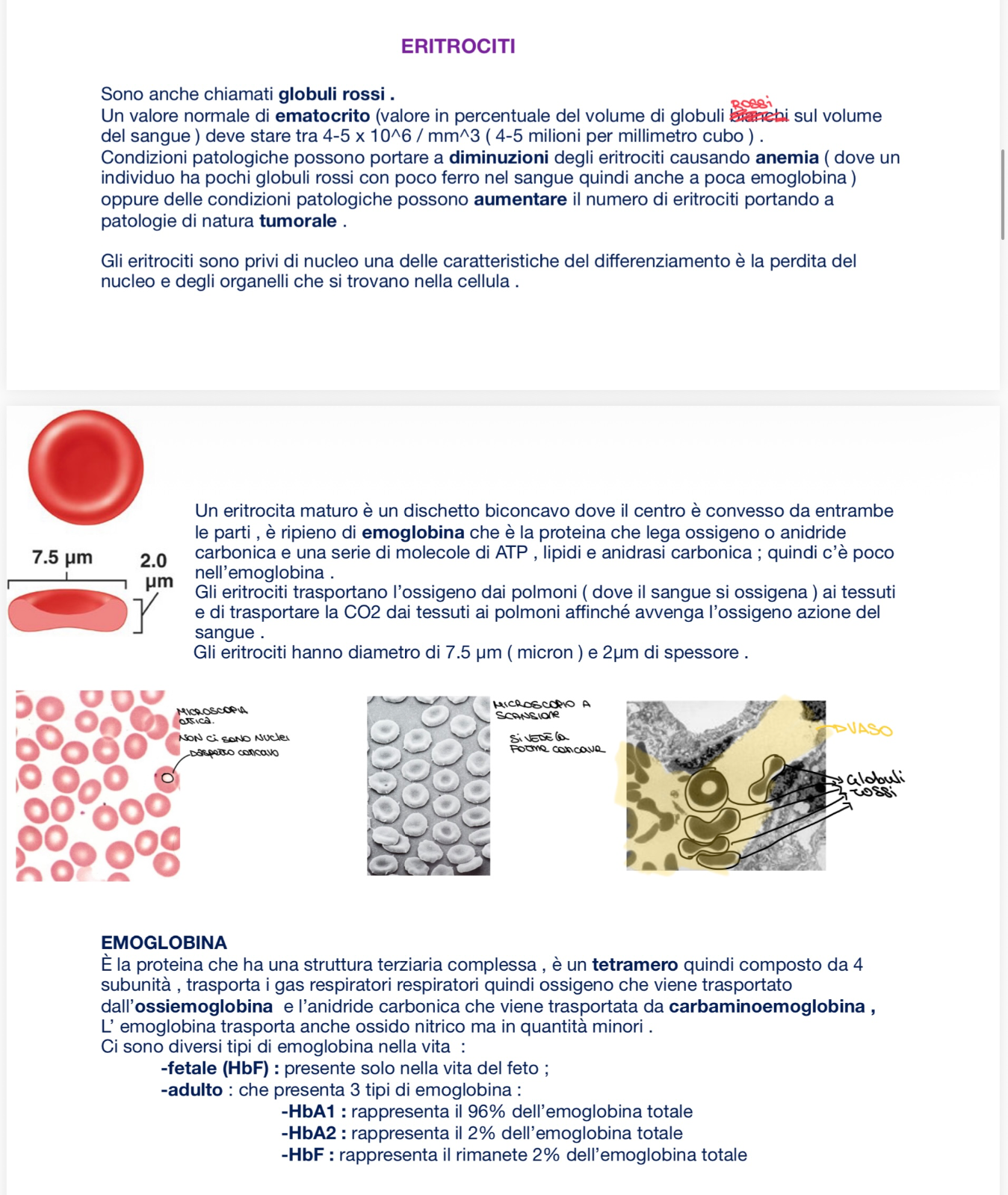 Anteprima degli appunti di Citologia E Istologia