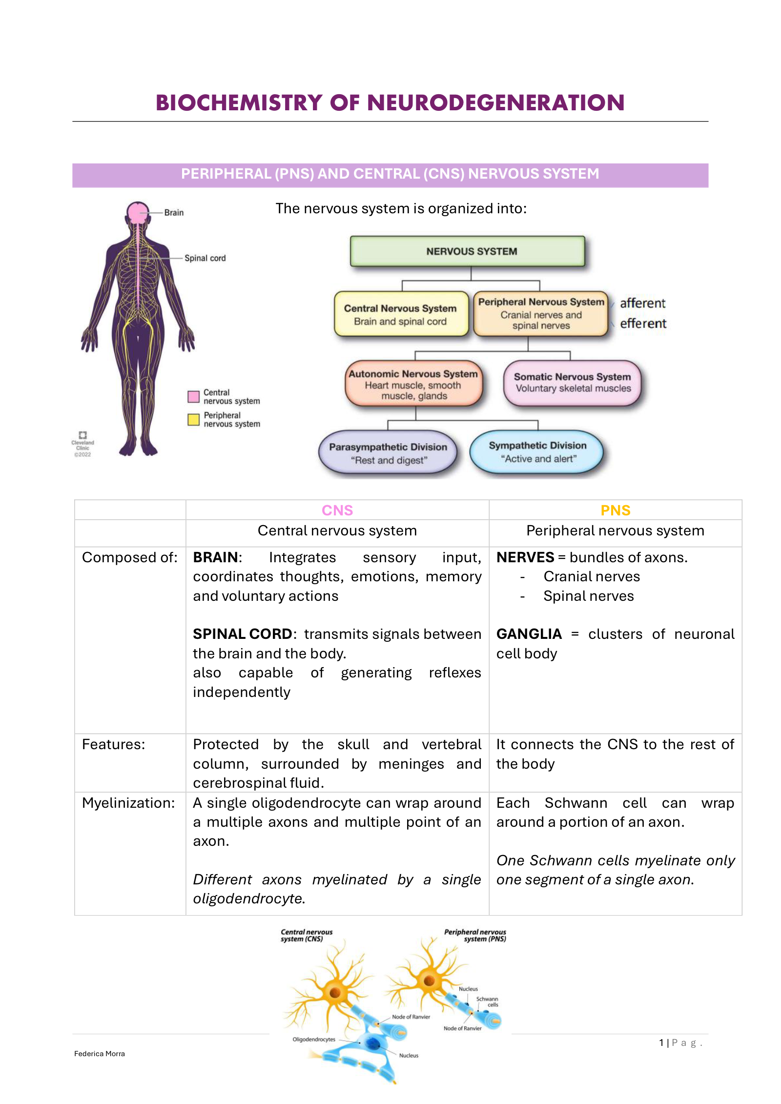 Anteprima degli appunti di Cellular Biochemistry Of Human Diseases
