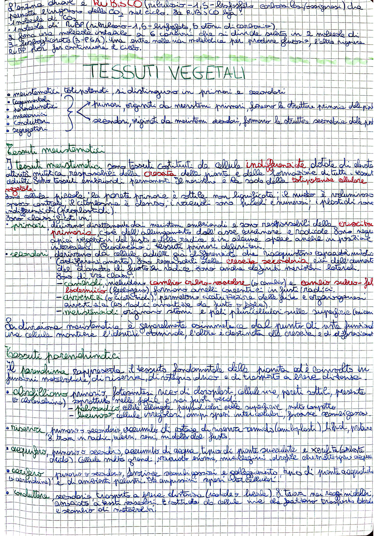 Anteprima degli appunti di Botanica