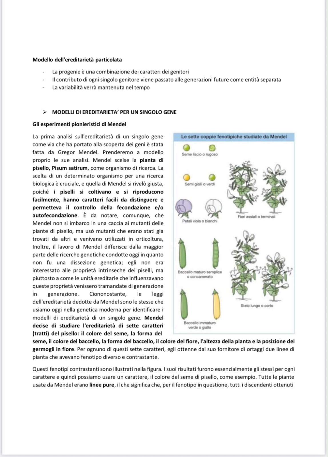 Anteprima degli appunti di Genetica