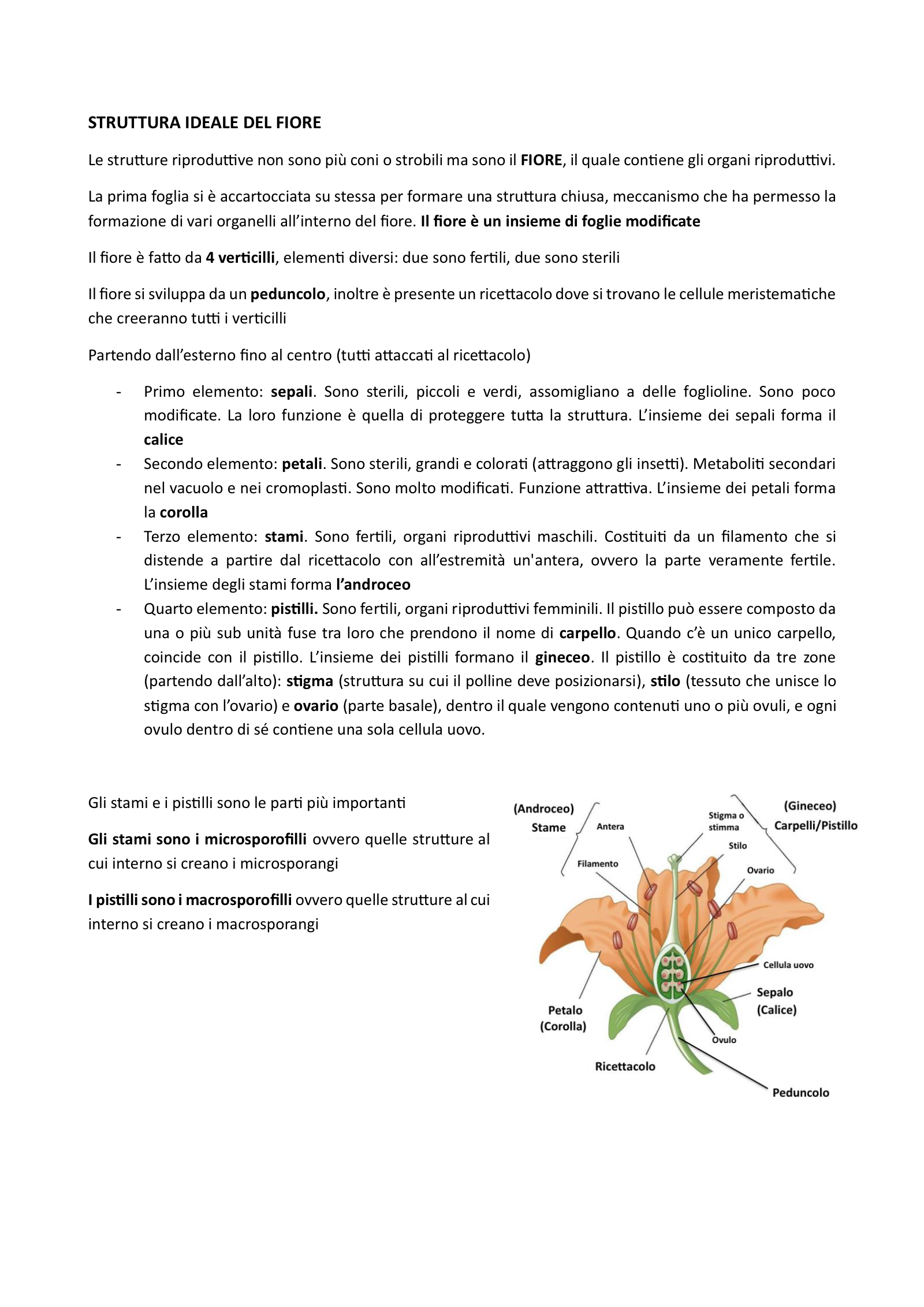 Anteprima degli appunti di Botanica