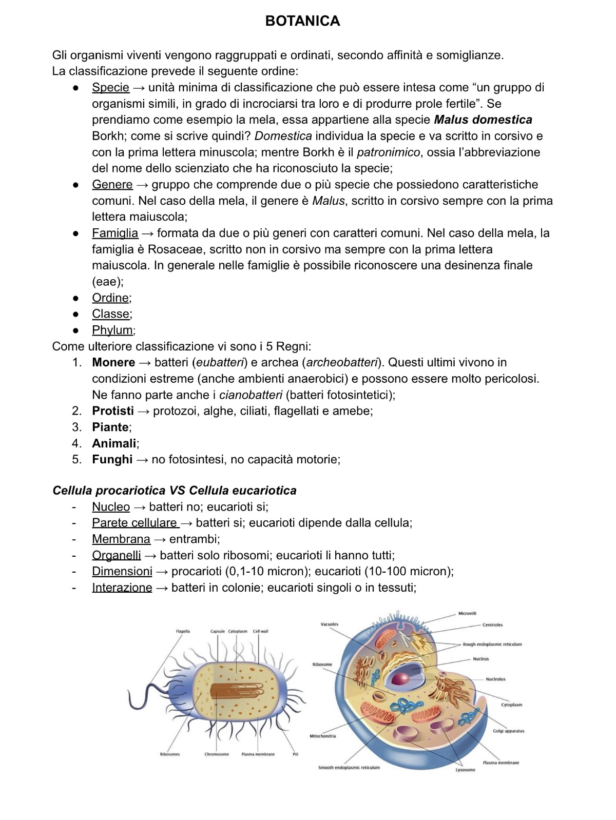 Anteprima degli appunti di Botanica
