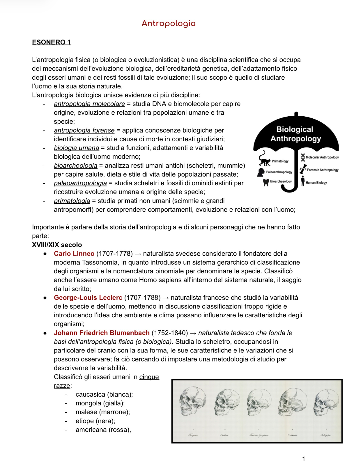 Anteprima degli appunti di Antropologia E Bioetica