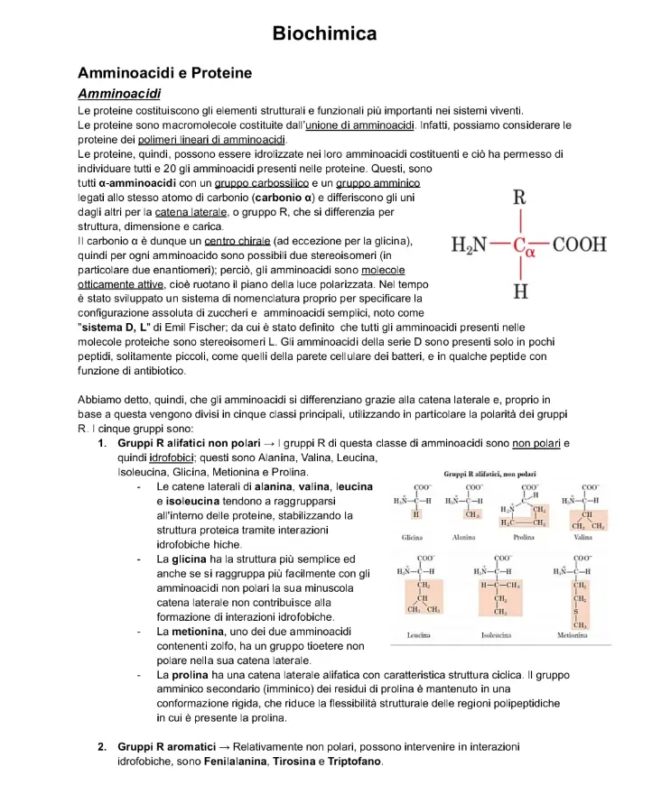 Anteprima degli appunti di Biochimica