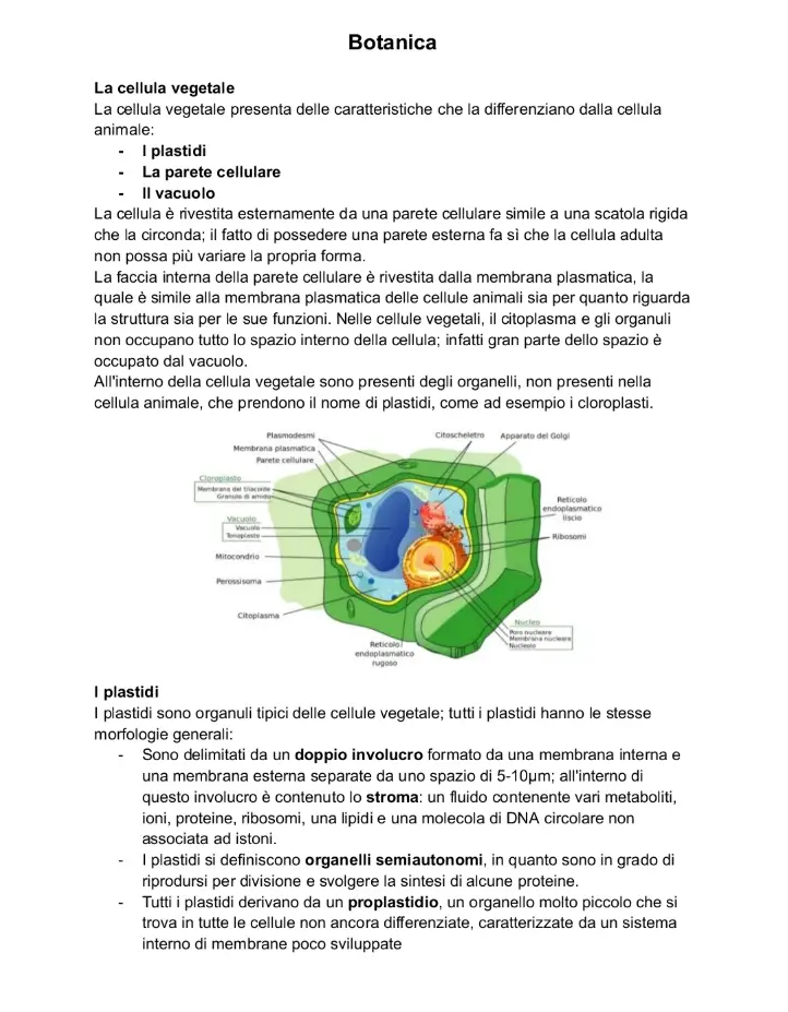 Anteprima degli appunti di Botanica
