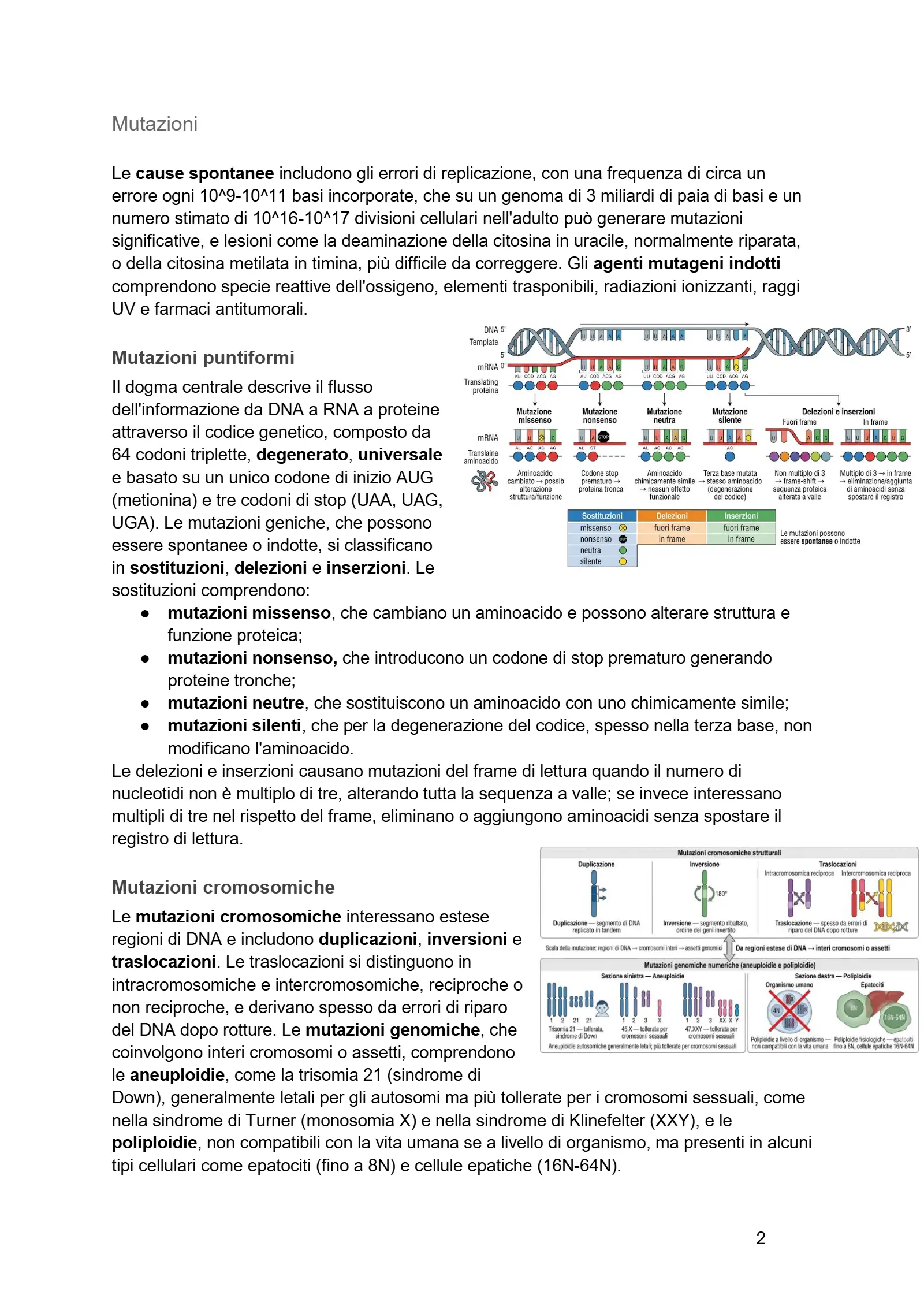 Anteprima degli appunti di Biologia Applicata Alla Nutrizione, Fisiologia Della Nutrizione, Anatomia Dell'apparato Digerente