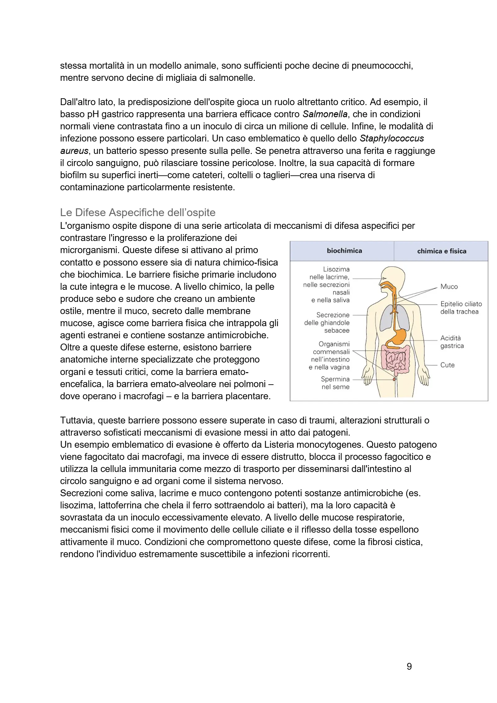 Anteprima degli appunti di Microbiologia Applicata Agli Alimenti, Microbiologia Agroalimentare