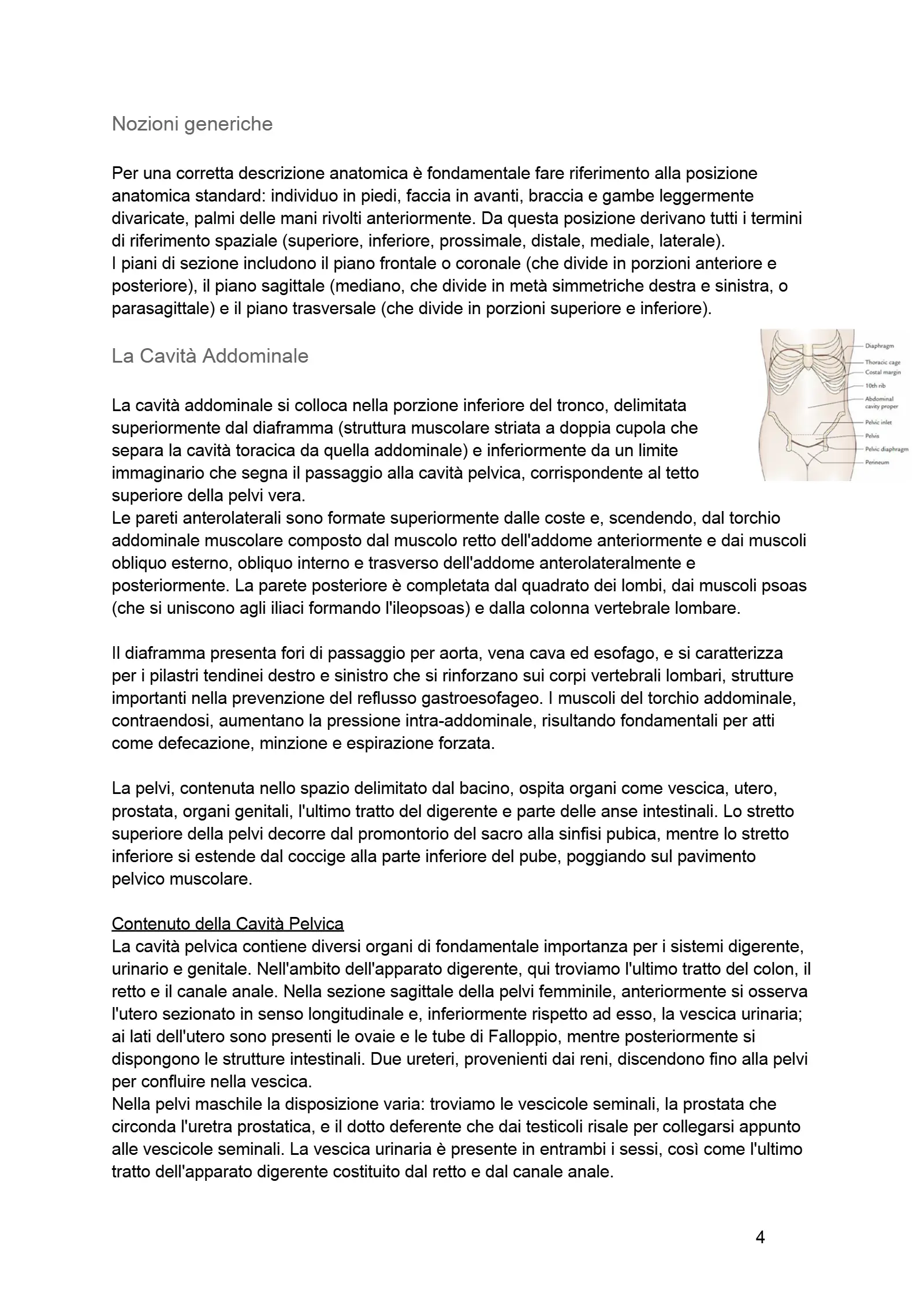 Anteprima degli appunti di Biologia Applicata Alla Nutrizione, Fisiologia Della Nutrizione, Anatomia Dell'apparato Digerente