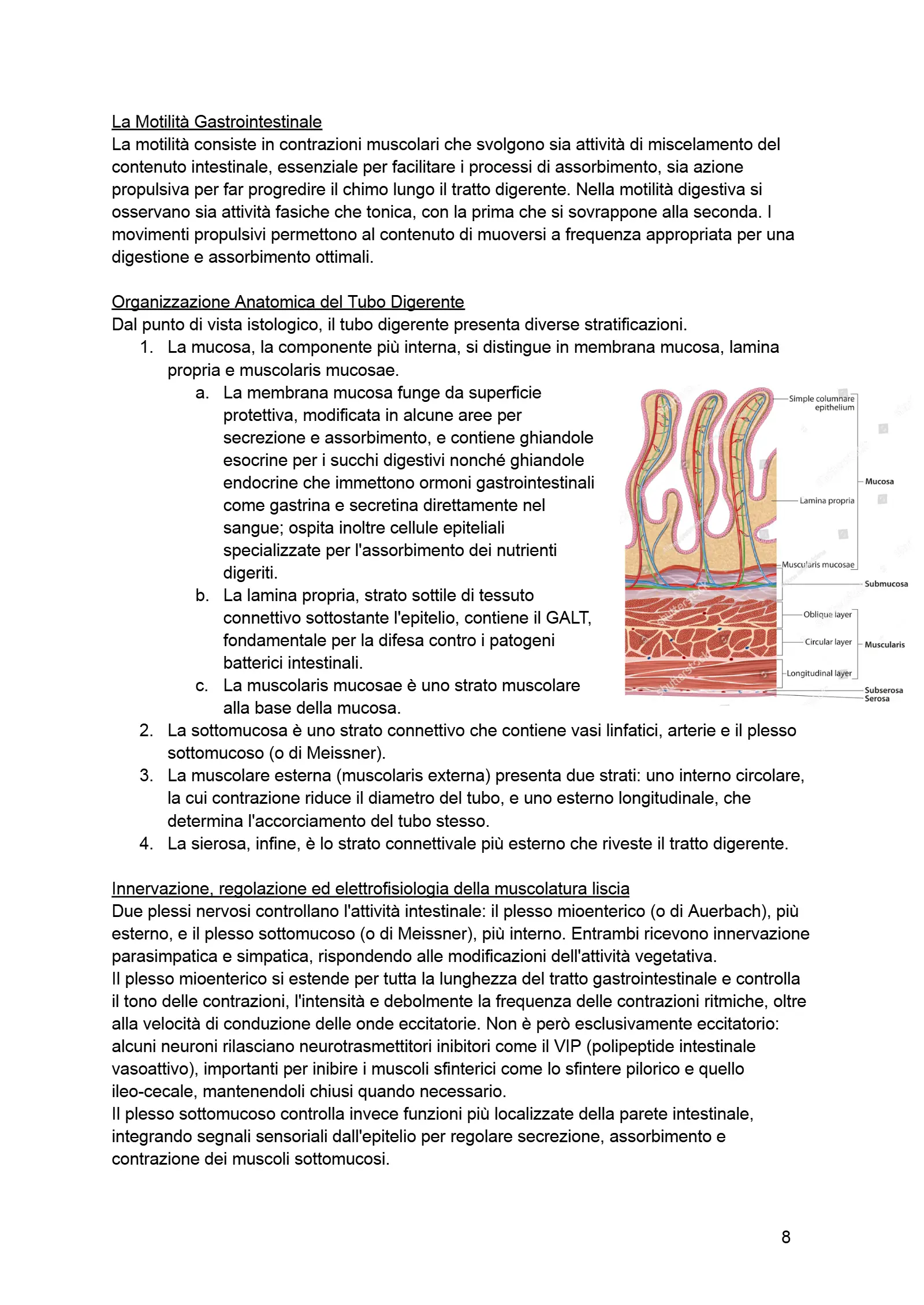 Anteprima degli appunti di Biologia Applicata Alla Nutrizione, Fisiologia Della Nutrizione, Anatomia Dell'apparato Digerente