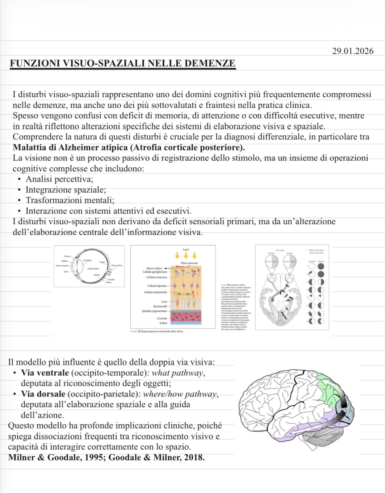 Anteprima degli appunti di Correlati Neurobiologici Dei Processi Attentivi E Mnestici Nell'invecchiamento